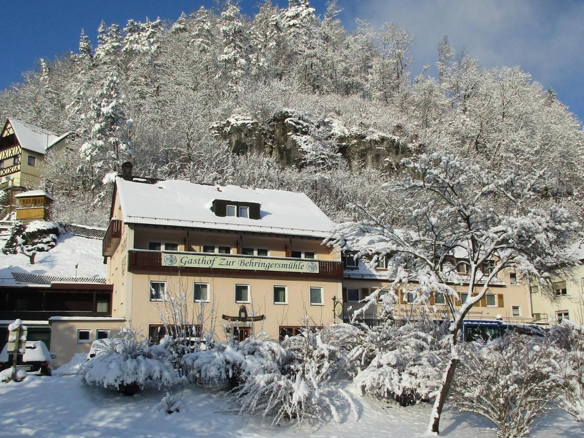 Gasthof Zur Behringersmuhle Hotel Goessweinstein Buitenkant foto